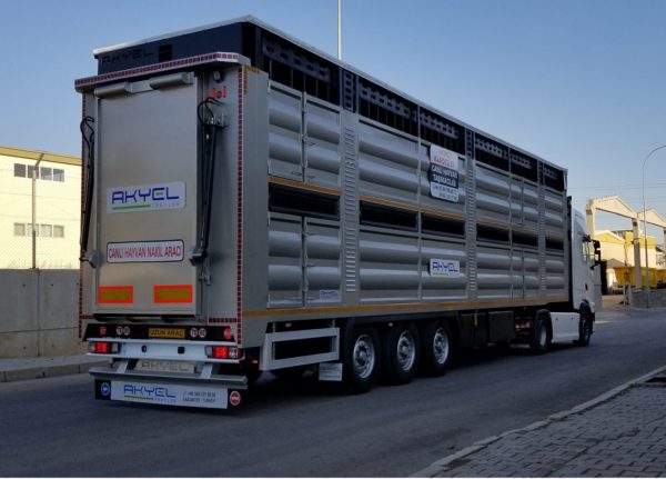 Double-Decker Livestock Semi-Trailer - Görsel 3